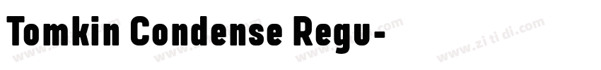 Tomkin Condense Regu字体转换 Tomkin Condense Regu字体转换